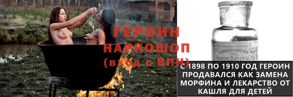 крисы Чердынь