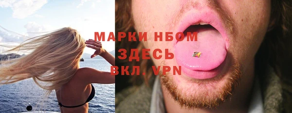 крисы Чердынь