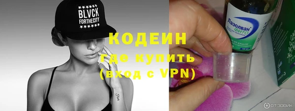 крисы Чердынь