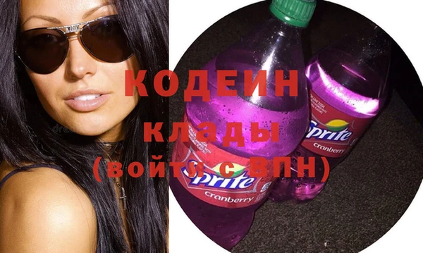 крисы Чердынь