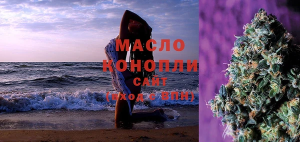 крисы Чердынь