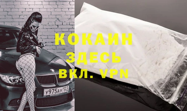 эйфоретик Чекалин