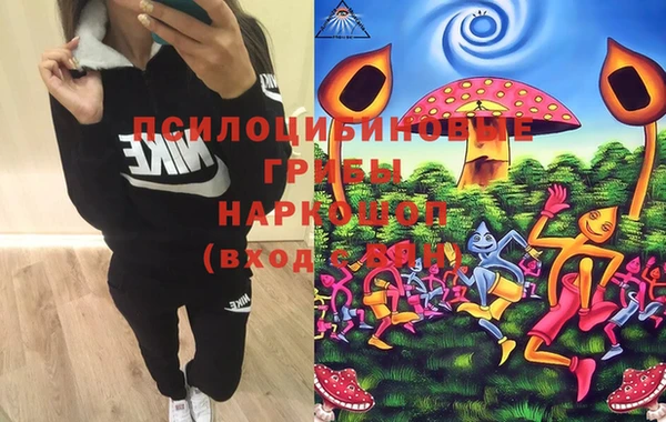 эйфоретик Чекалин