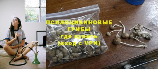эйфоретик Чекалин