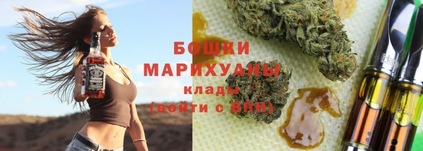 крисы Чердынь