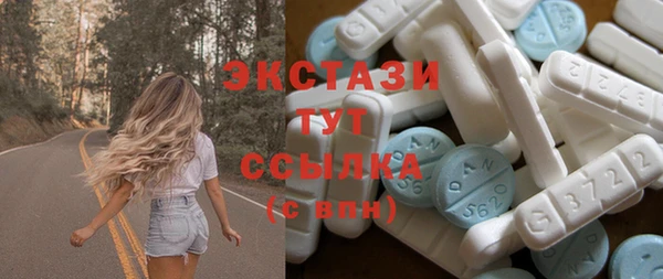 крисы Чердынь